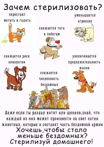 XuaXgWN8H8g.jpg