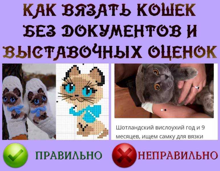 AuwL_DLHOPY.jpg