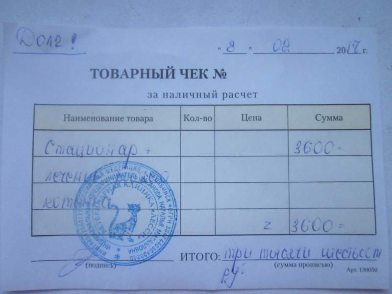 долг 8.02.jpg
