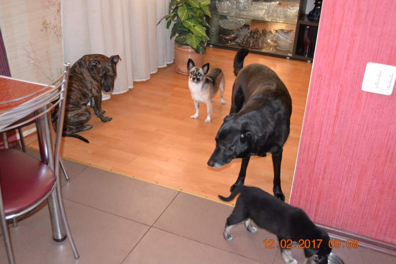 DSC_0592.JPG