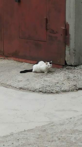 20140511_150032.jpg
