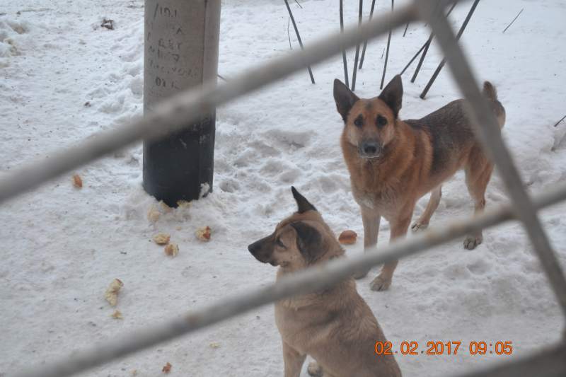 DSC_0448.JPG