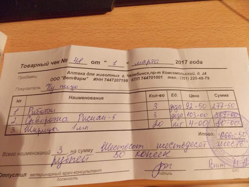 IxU2unVLI7A.jpg