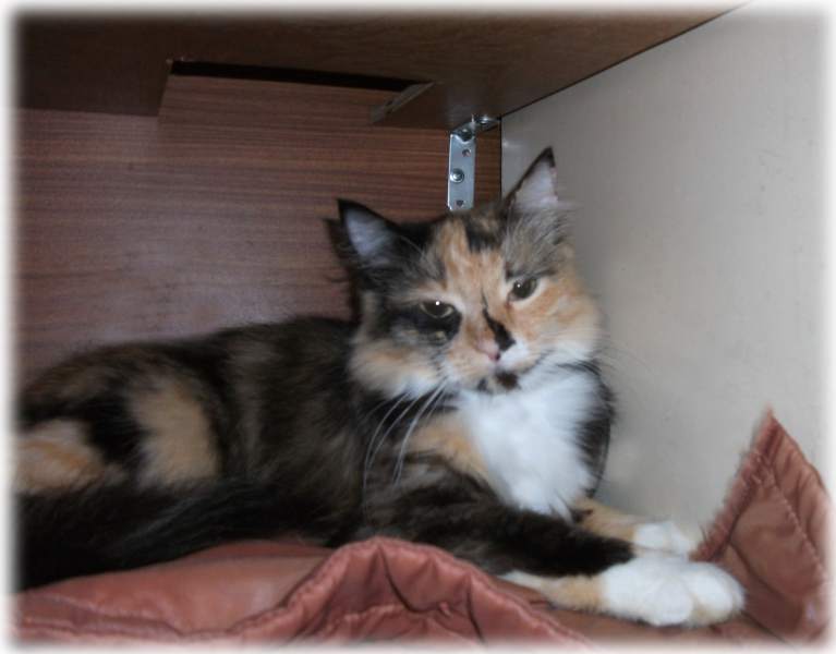 DSCF5778.JPG