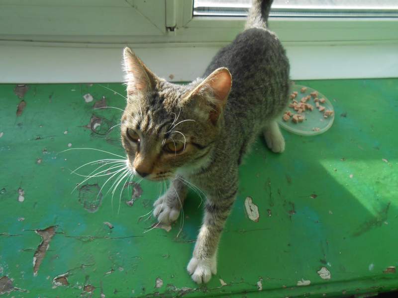 DSCN6276.JPG