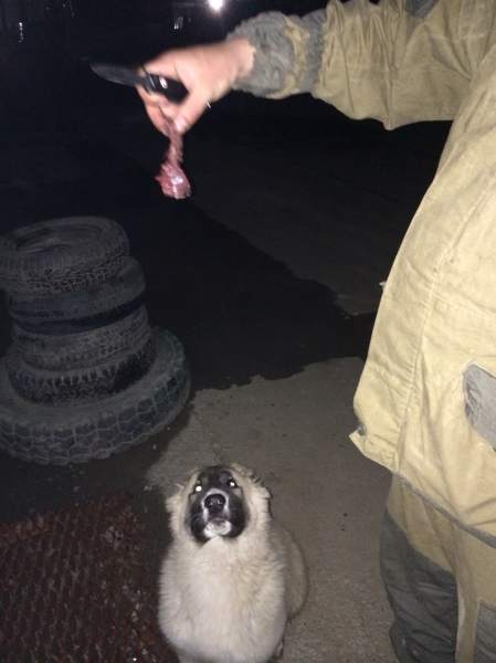 image.jpg