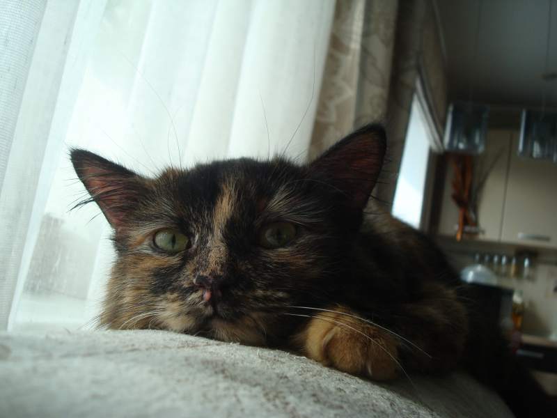 DSC07967.JPG