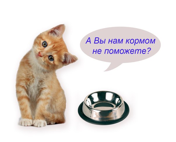 FjRjTIu0hdg.jpg