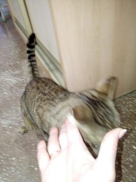 к.jpg