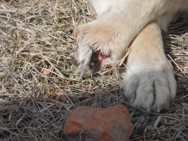 DSCN4148.jpg
