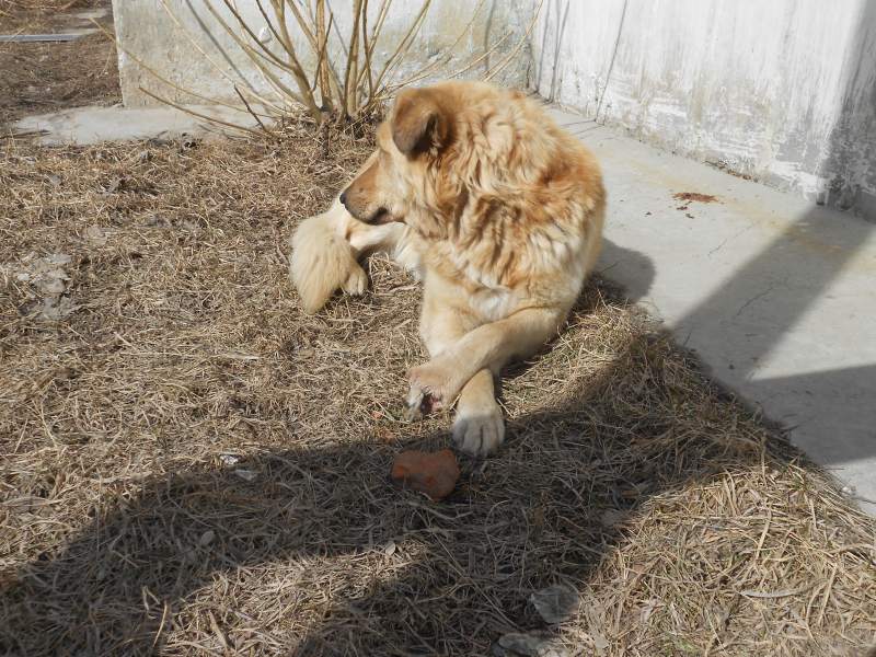 DSCN4149.jpg