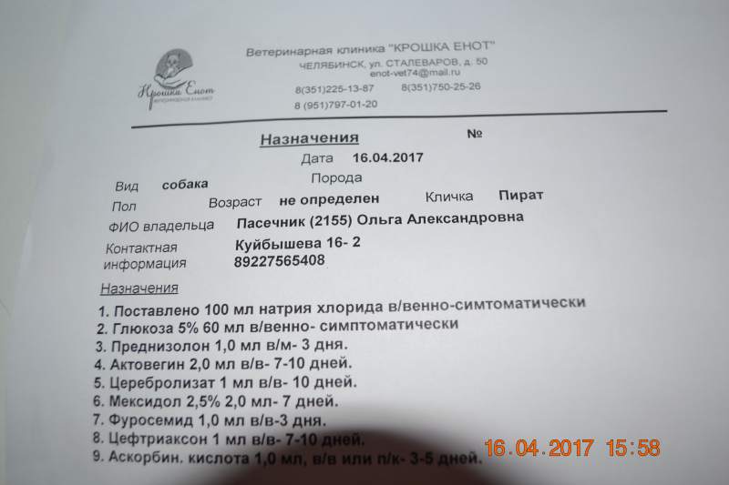 DSC_1122.JPG