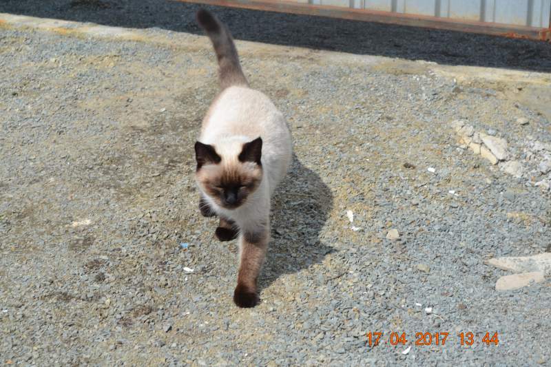DSC_1154.JPG