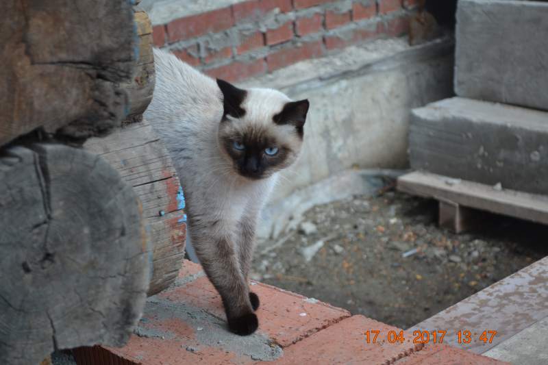 DSC_1155.JPG