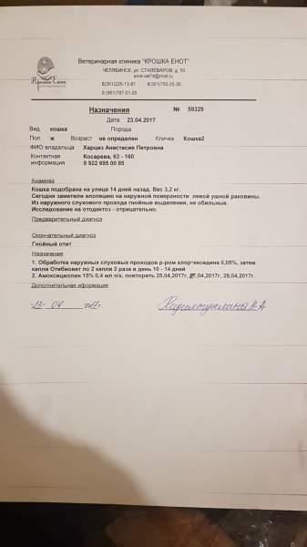 20170423_163801.jpg