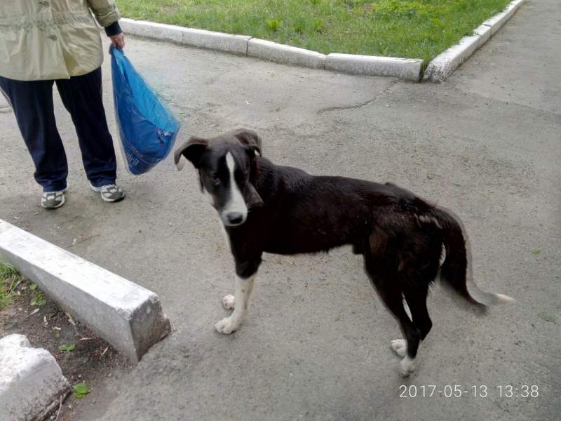 cntO8PTLuYQ.jpg