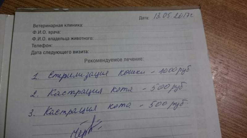 mctK3AfKmyI.jpg