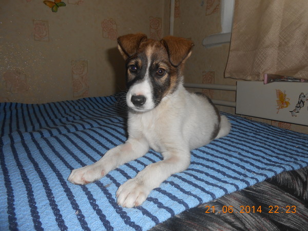 DSCN3468.JPG