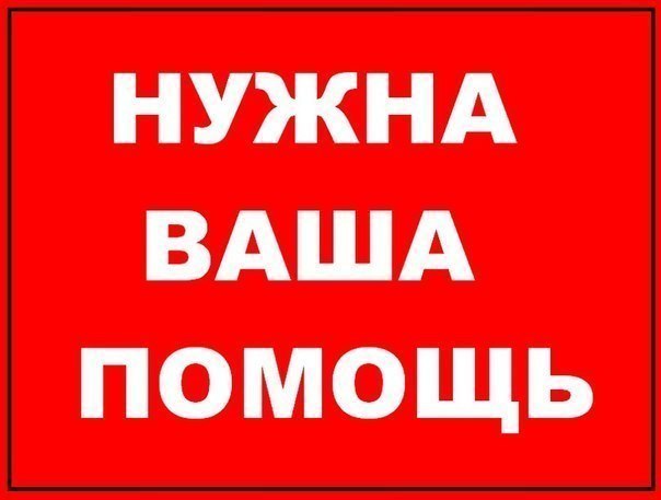 222921_900.jpg