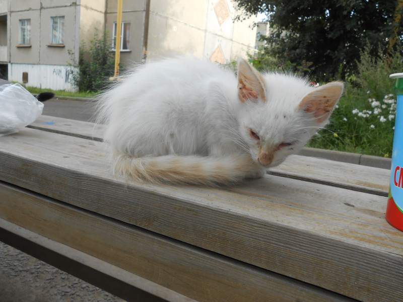 DSCN4608.jpg