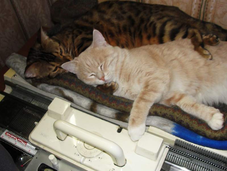 DSC00005а.jpg