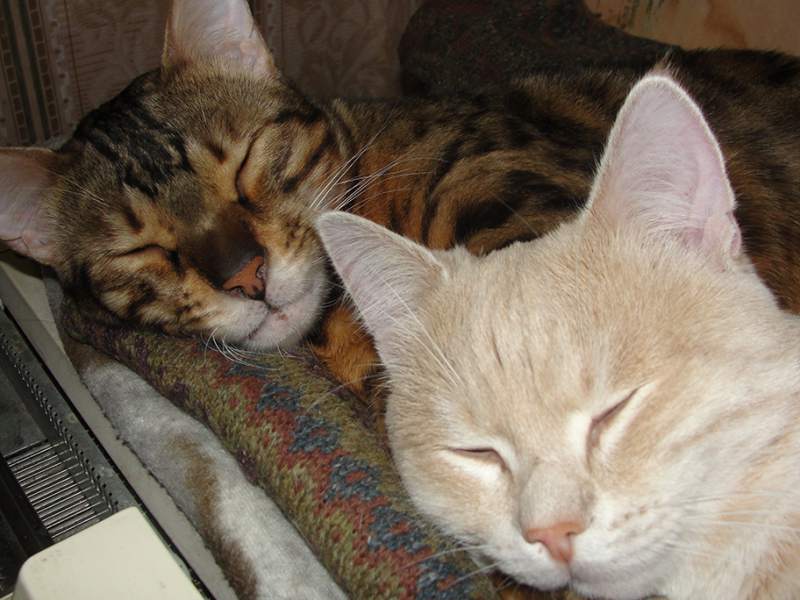 DSC00011а.jpg