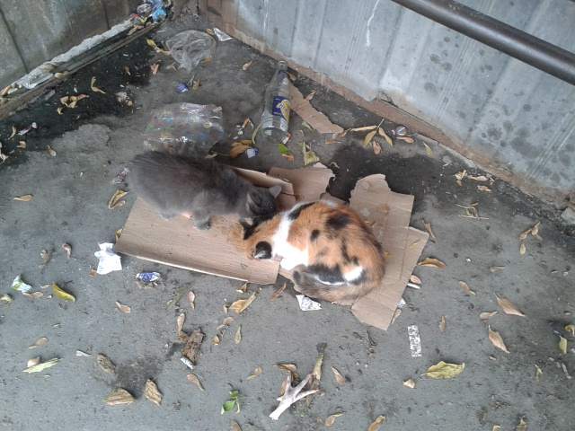 20171004_123248.jpg