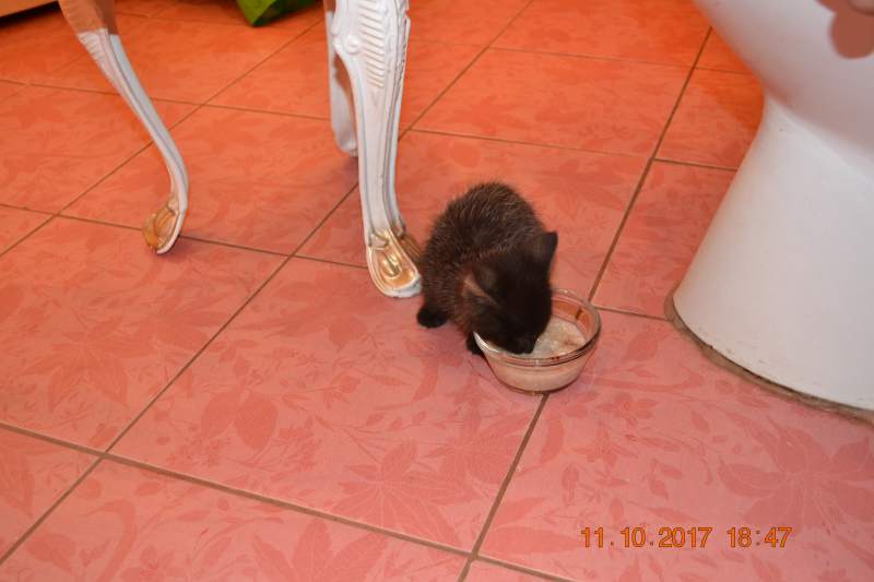 DSC_1838.JPG