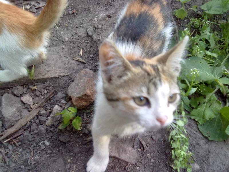 24062014318.jpg