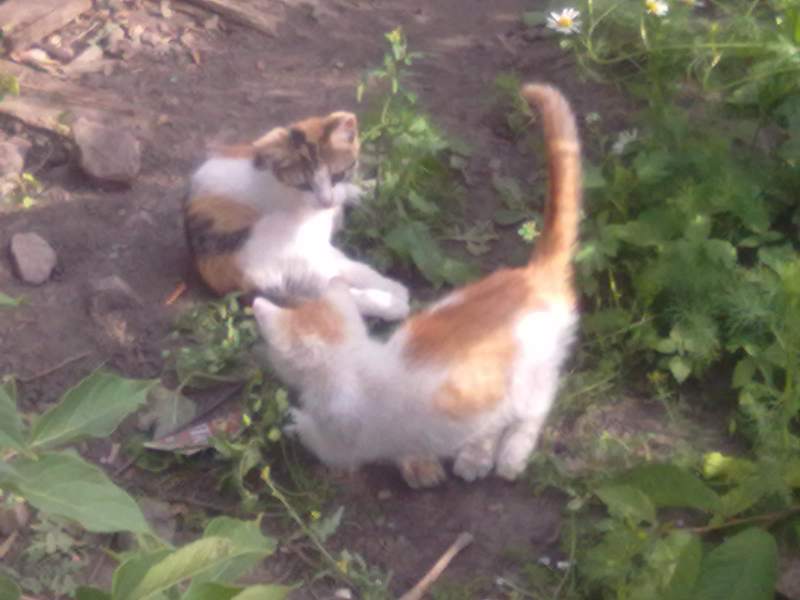 27062014324.jpg