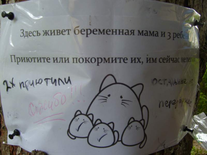 S7002902.JPG