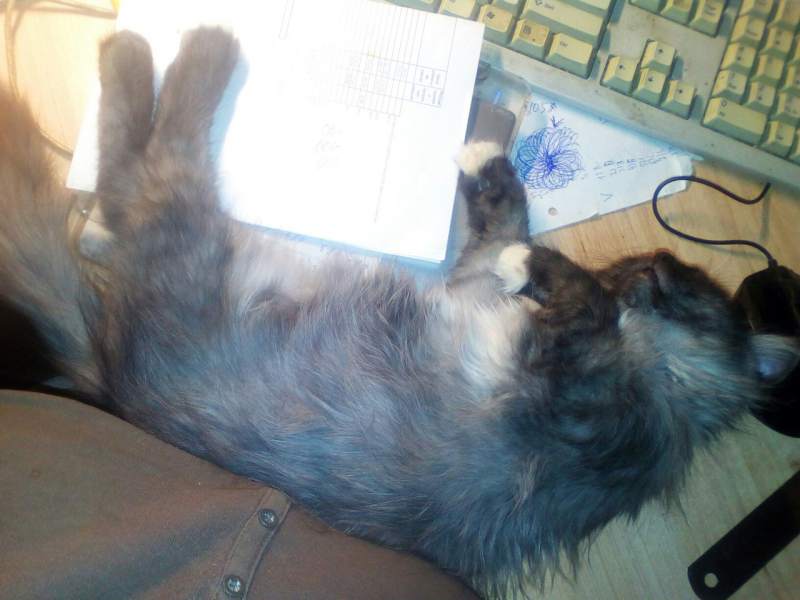 Клепа.jpg