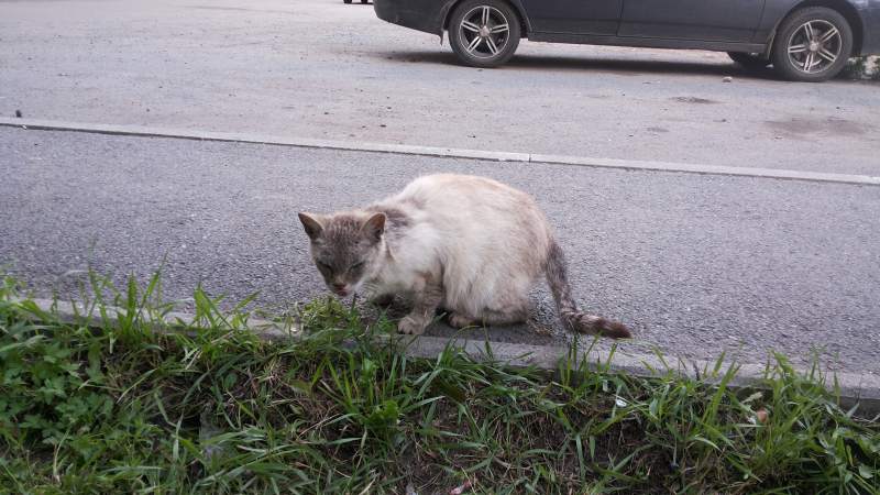 20140725_174834.jpg