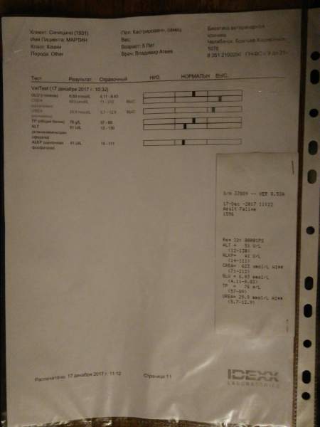 IMG_20171217_195022.jpg