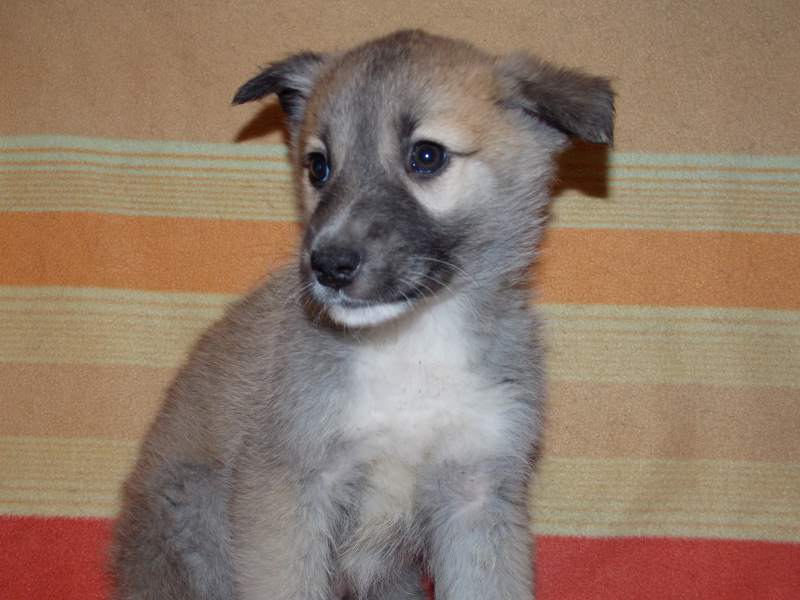 DSCN1556.JPG