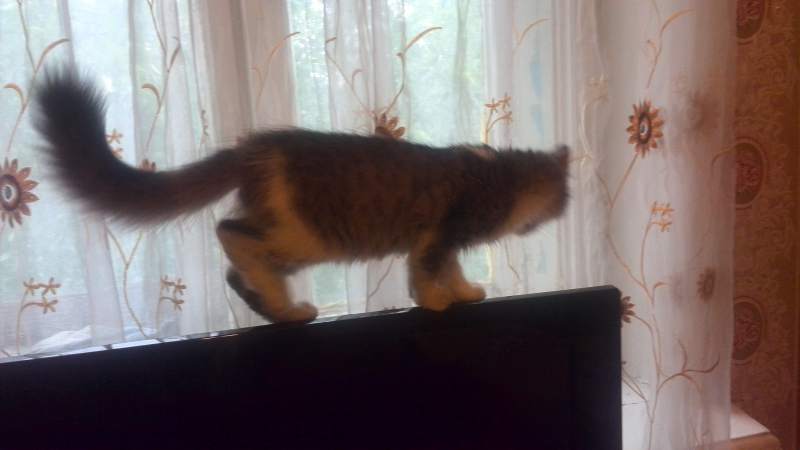 IMG_20140731_192033.jpg