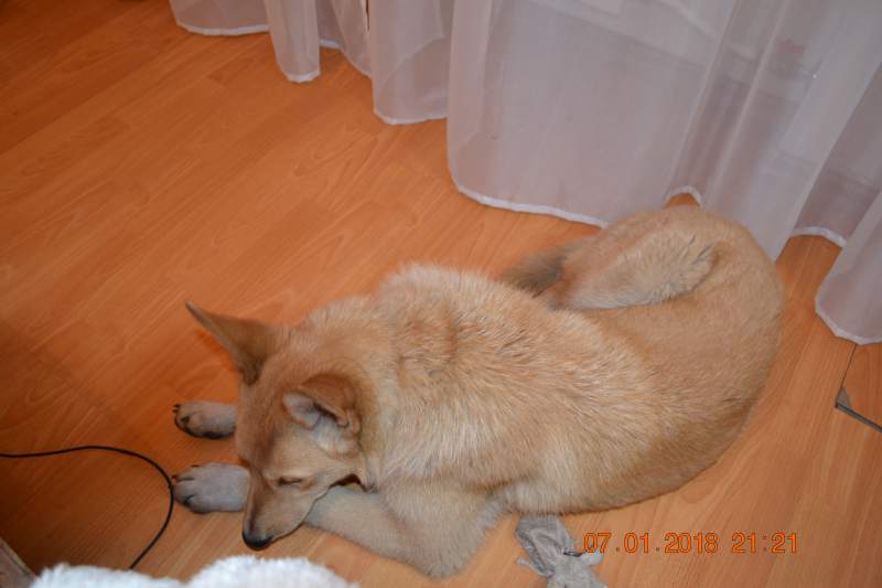 DSC_2651.JPG