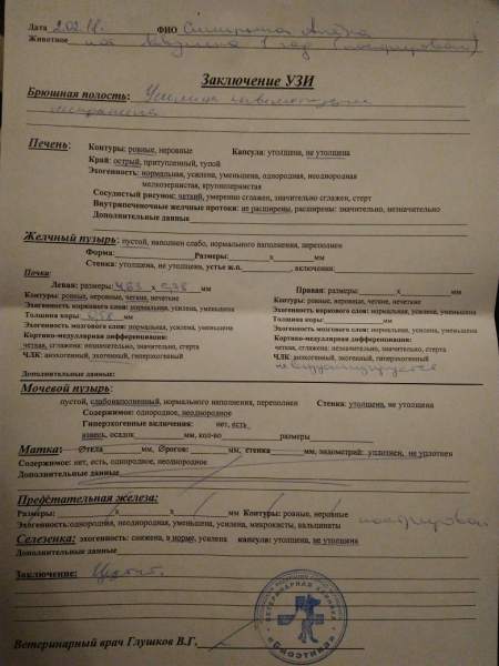 IMG_20180202_222046.jpg