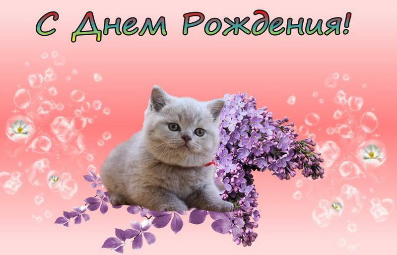 drwoman0006.jpg